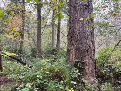 0 Hyak Place , Fox Island, WA 98333 - Photo 16
