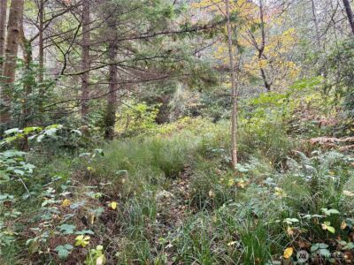 0 Hyak Place , Fox Island, WA 98333 - Photo 17
