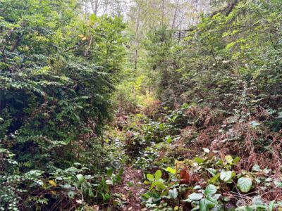0 Hyak Place , Fox Island, WA 98333 - Photo 18