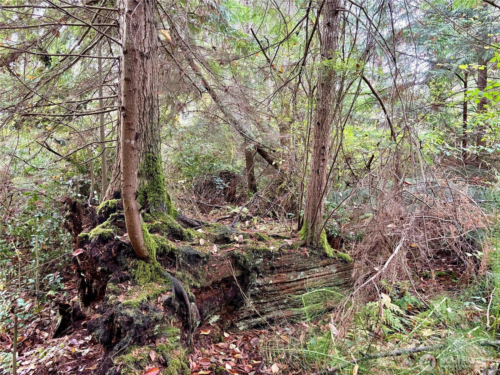 0 Hyak Place , Fox Island, WA 98333