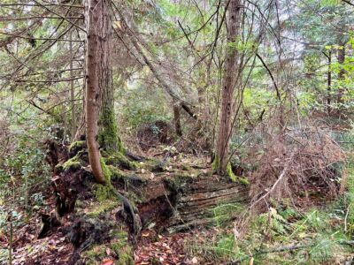 0 Hyak Place , Fox Island, WA 98333 - Photo 19