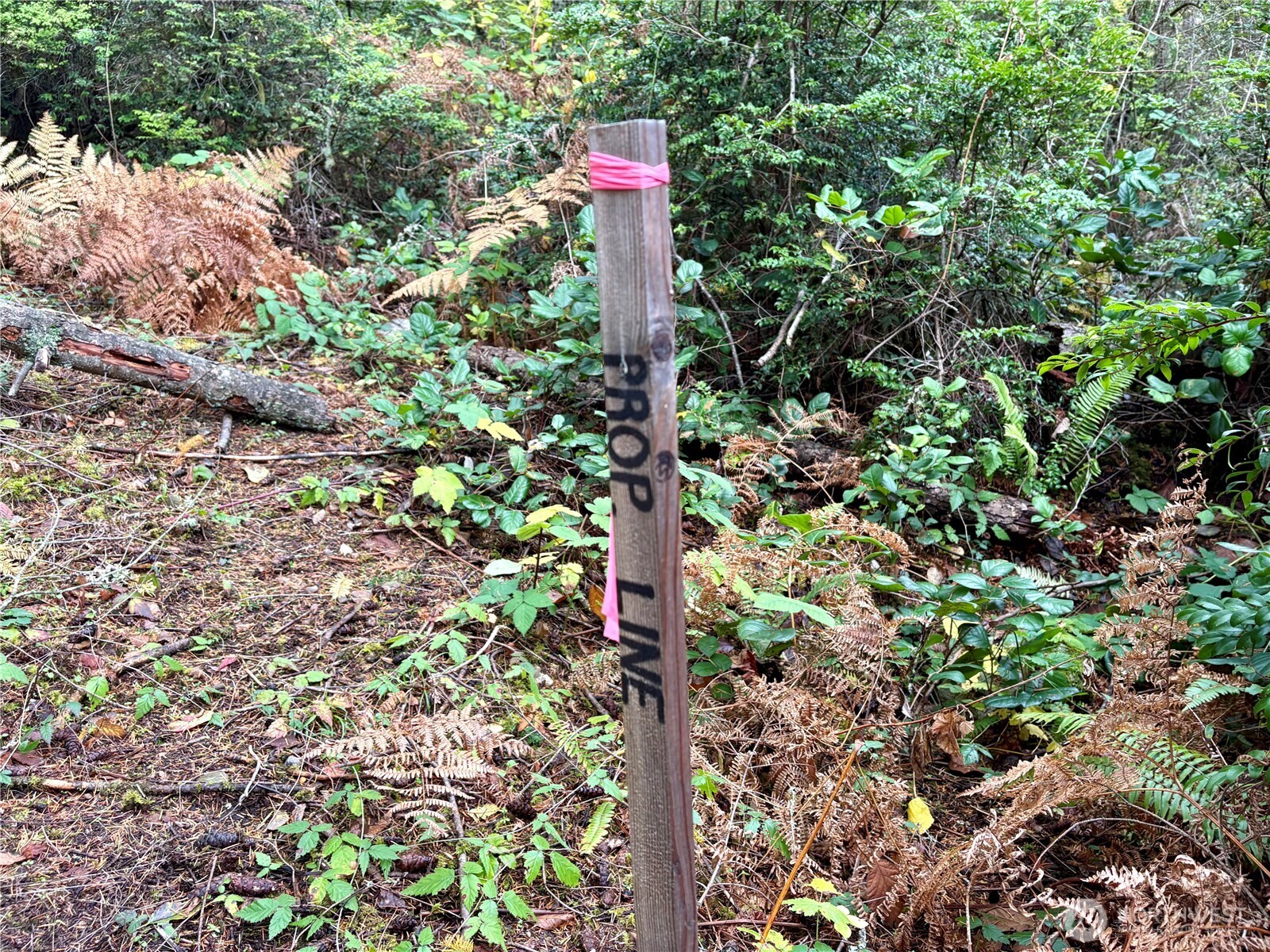 0 Hyak Place , Fox Island, WA 98333