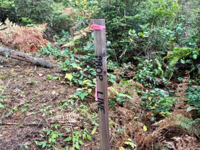 0 Hyak Place , Fox Island, WA 98333 - Photo 21