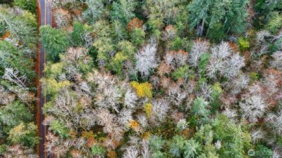 0 Hyak Place , Fox Island, WA 98333 - Photo 3