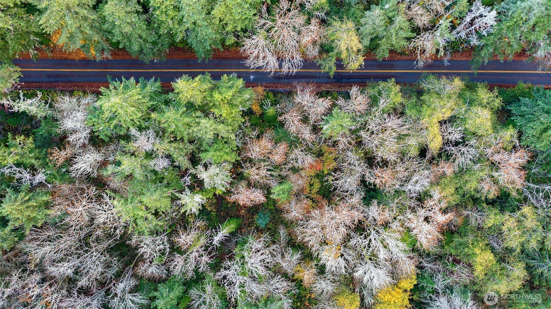0 Hyak Place , Fox Island, WA 98333