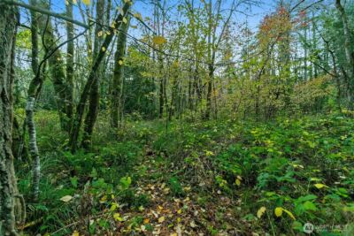 0 Hyak Place , Fox Island, WA 98333 - Photo 9