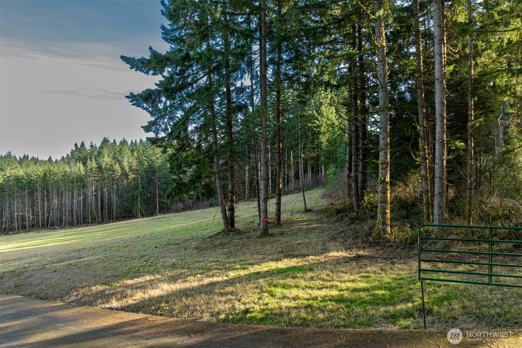 0 Silverwood Drive #B2, Castle Rock, WA 98611