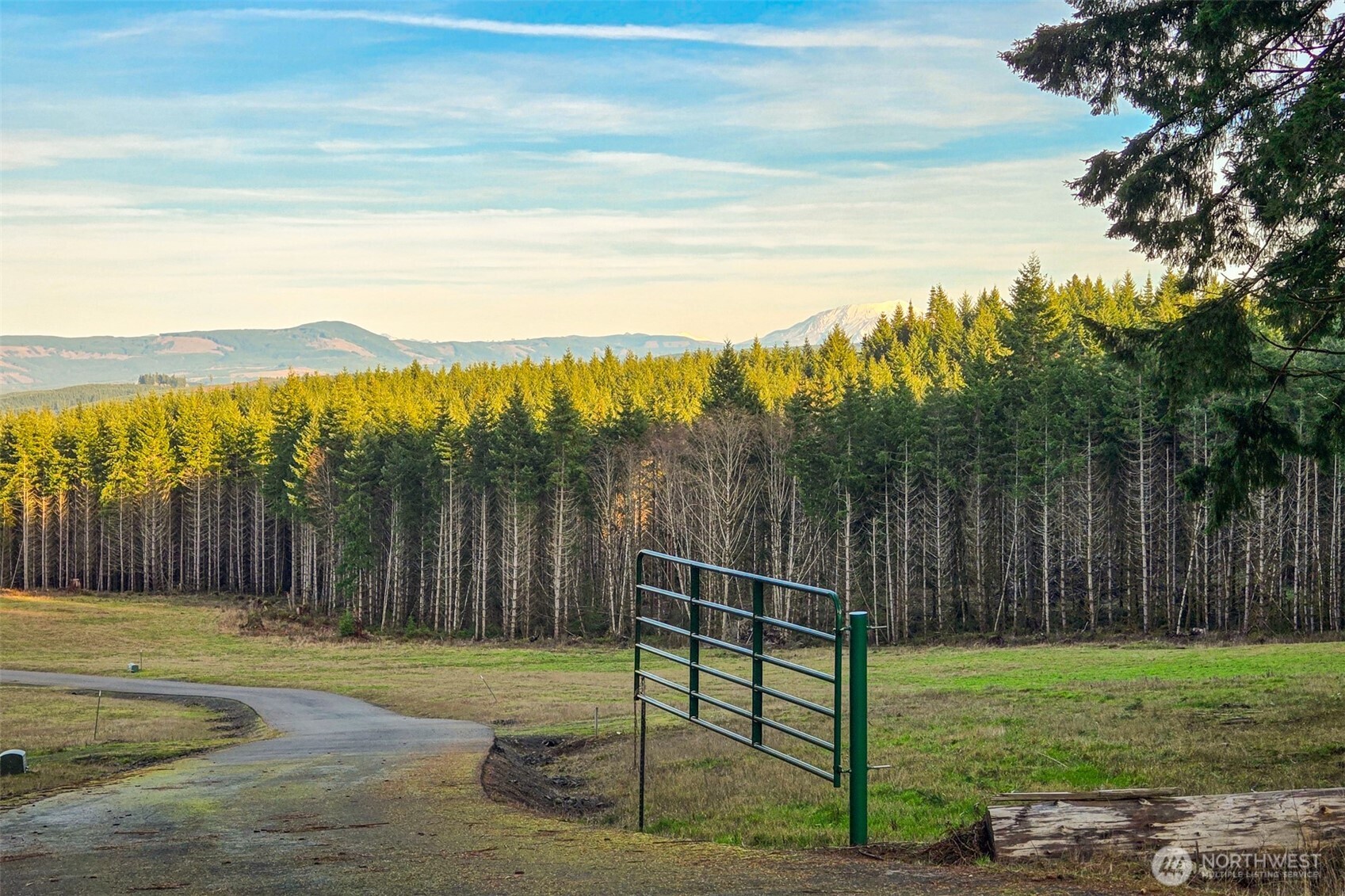 0 Silverwood Drive #C2, Castle Rock, WA 98611