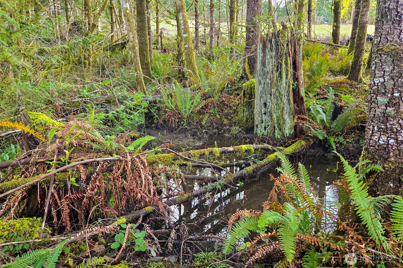 0 Silverwood Drive #C2, Castle Rock, WA 98611