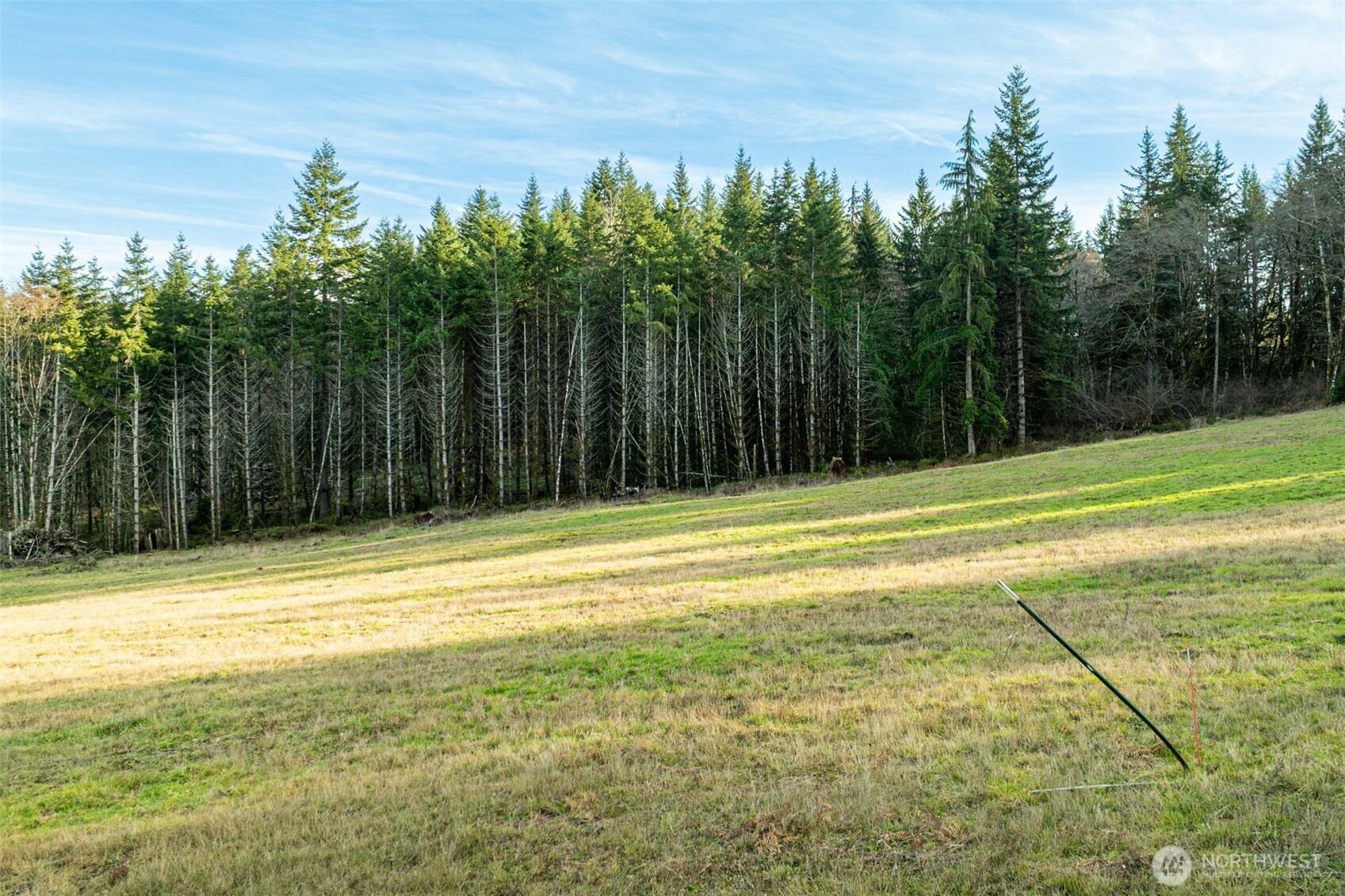 0 Silverwood Drive #C2, Castle Rock, WA 98611