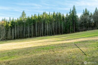 0 Silverwood Drive #C2, Castle Rock, WA 98611 - Photo 4