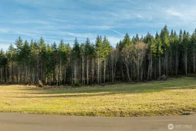 0 Silverwood Drive #D2, Castle Rock, WA 98611 - Photo 2