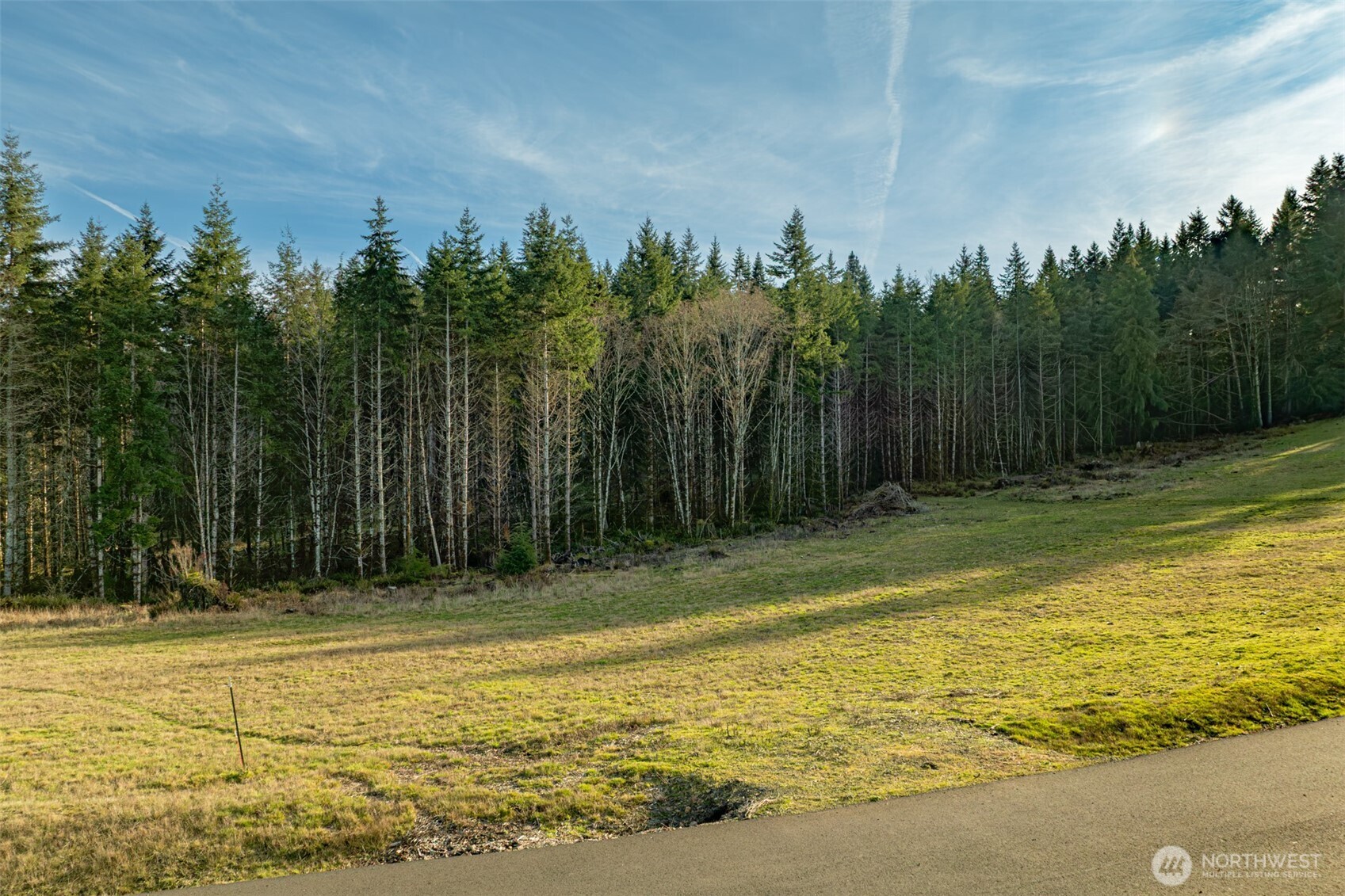 0 Silverwood Drive #D2, Castle Rock, WA 98611