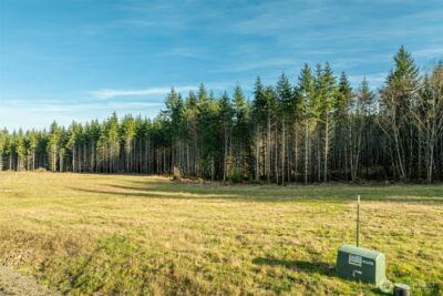 0 Silverwood Drive #D2, Castle Rock, WA 98611 - Photo 5