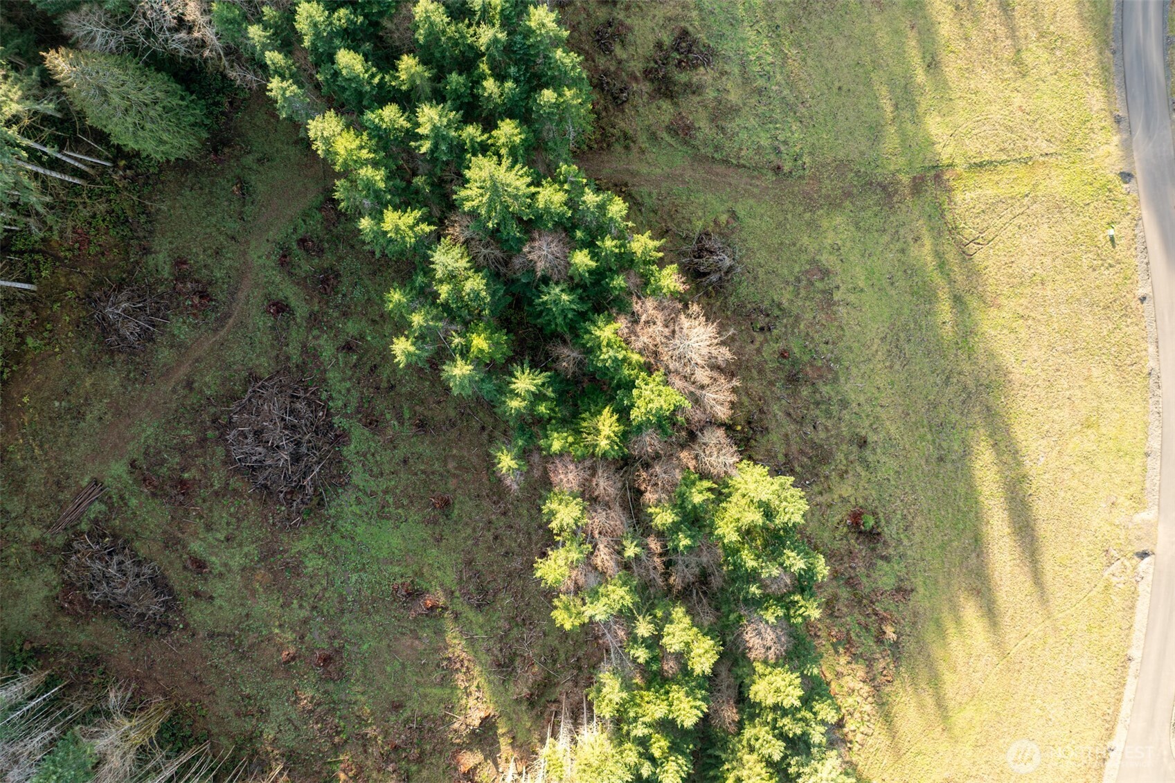 0 Silverwood Drive #D2, Castle Rock, WA 98611