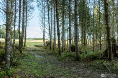 0 Silverwood Drive #D2, Castle Rock, WA 98611 - Photo 8