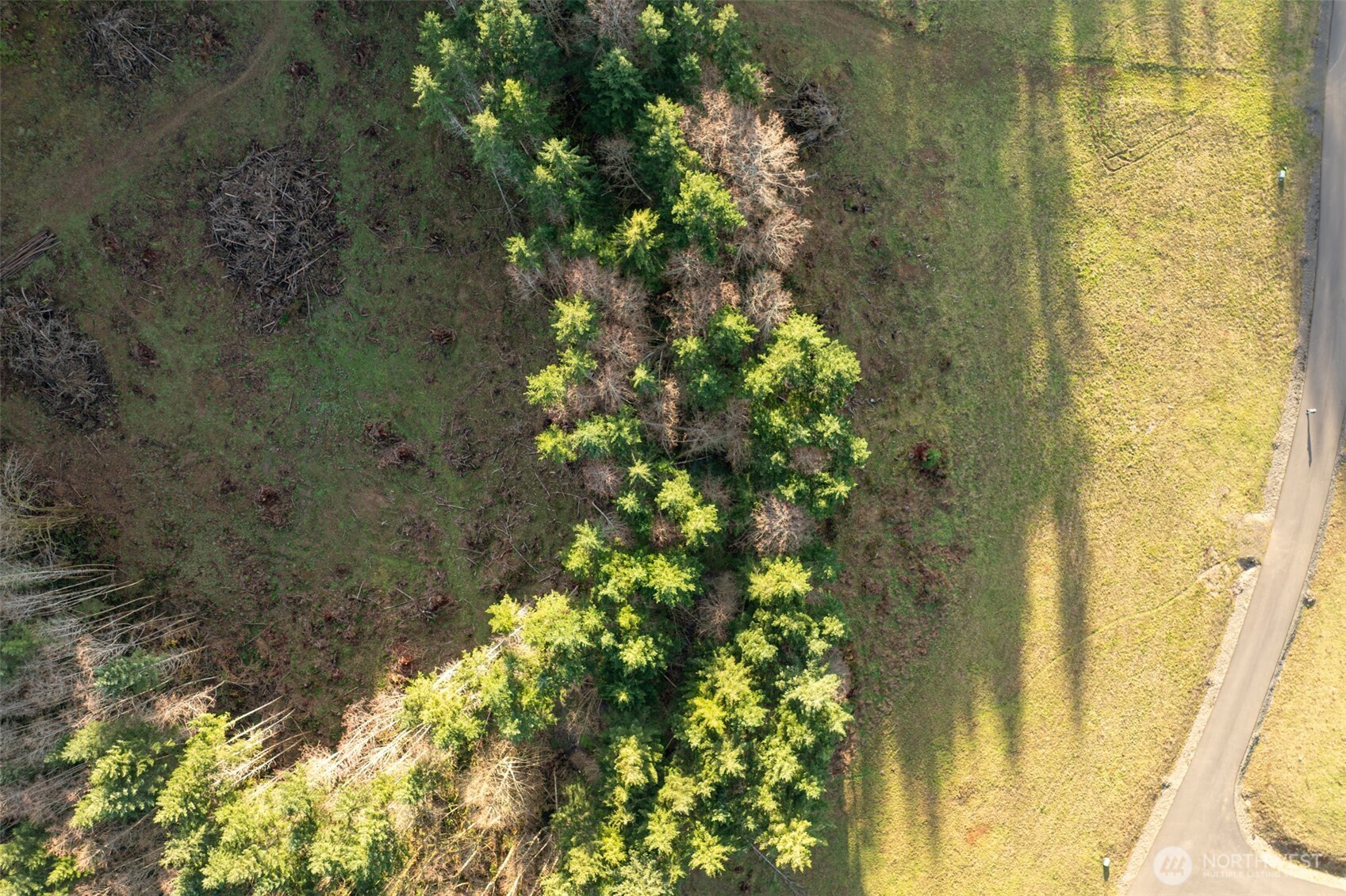 0 Silverwood Drive #E2, Castle Rock, WA 98611