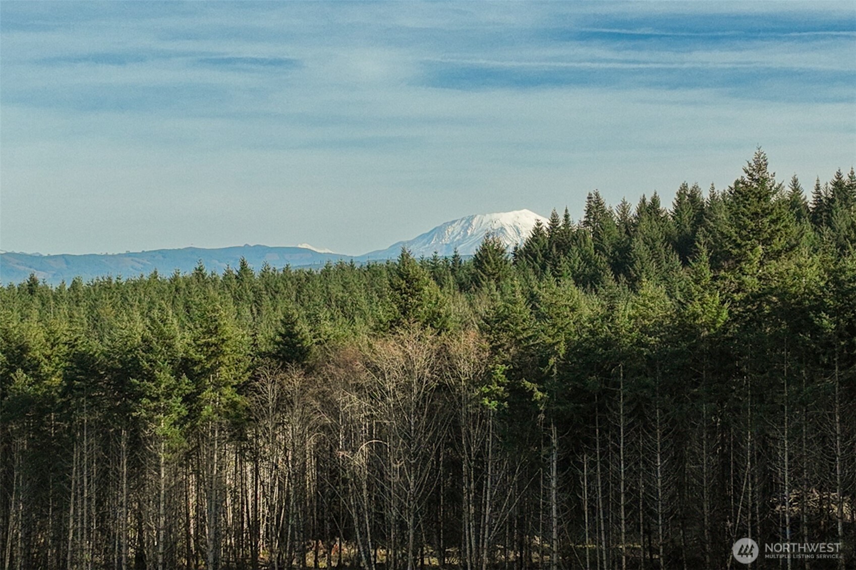 0 Silverwood Drive #E2, Castle Rock, WA 98611