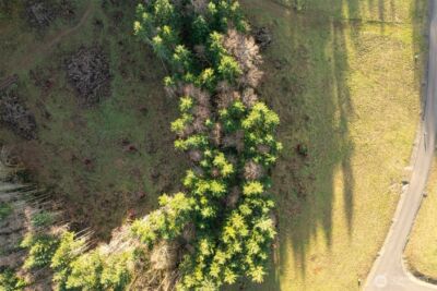 0 Silverwood Drive #E2, Castle Rock, WA 98611 - Photo 2