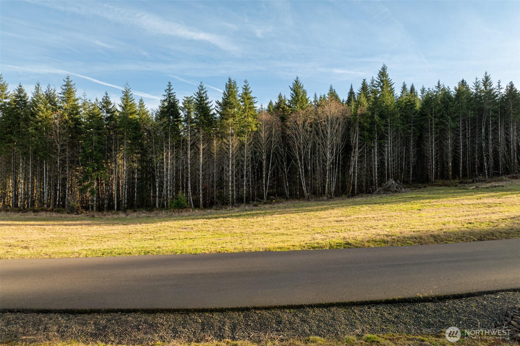 0 Silverwood Drive #E2, Castle Rock, WA 98611