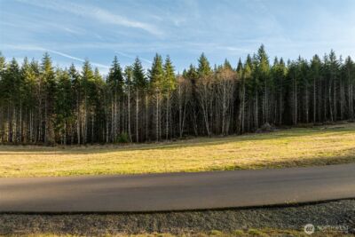 0 Silverwood Drive #E2, Castle Rock, WA 98611 - Photo 4