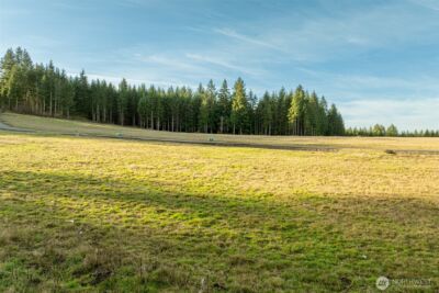 0 Silverwood Drive #E2, Castle Rock, WA 98611 - Photo 8