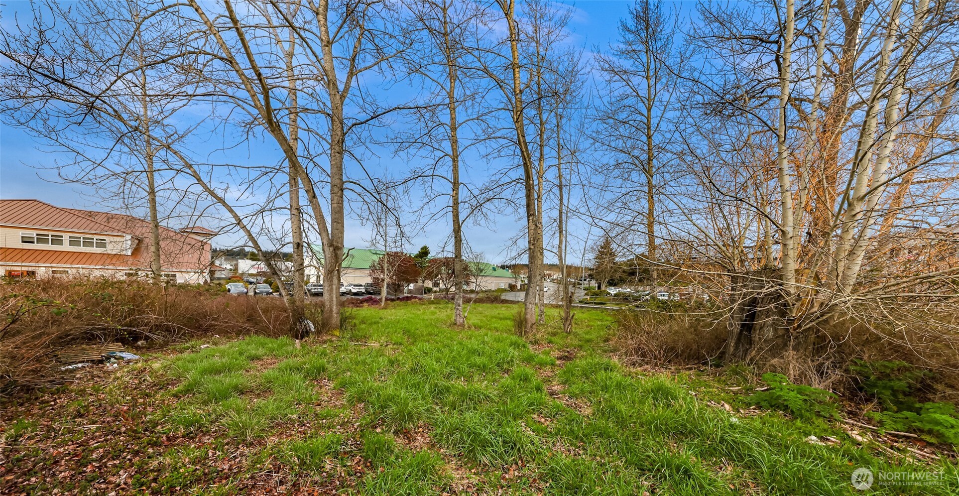 427 SE Ely Street , Oak Harbor, WA 98277