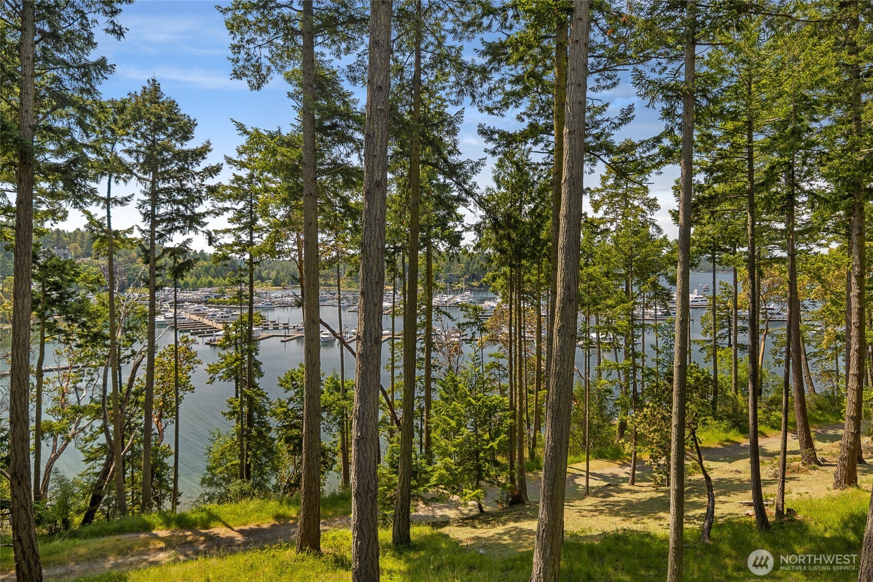 247 Afterglow Drive , Friday Harbor, WA 98250
