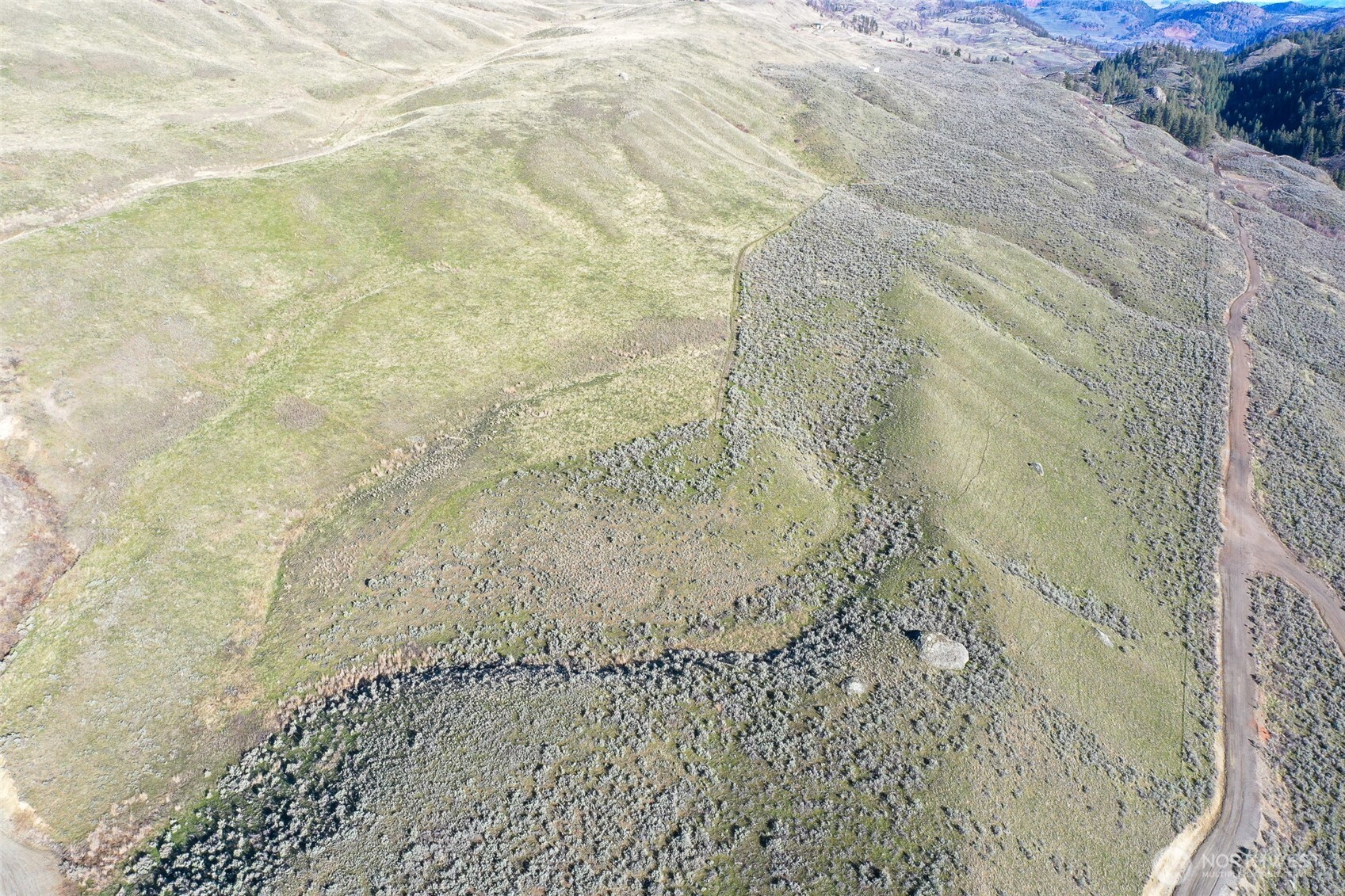 0 TBD Lower White Rock Road , Oroville, WA 98844