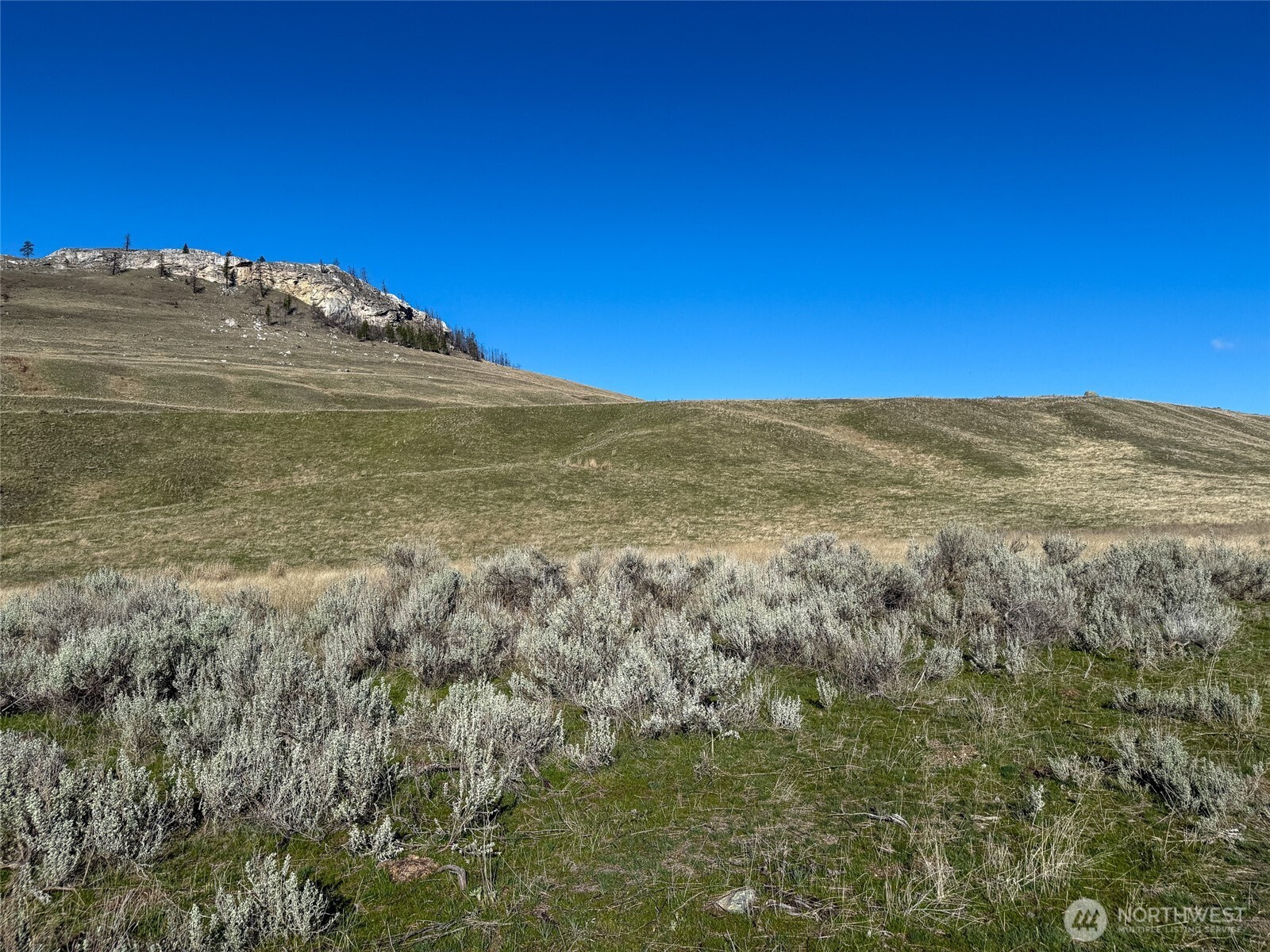 0 TBD Lower White Rock Road , Oroville, WA 98844