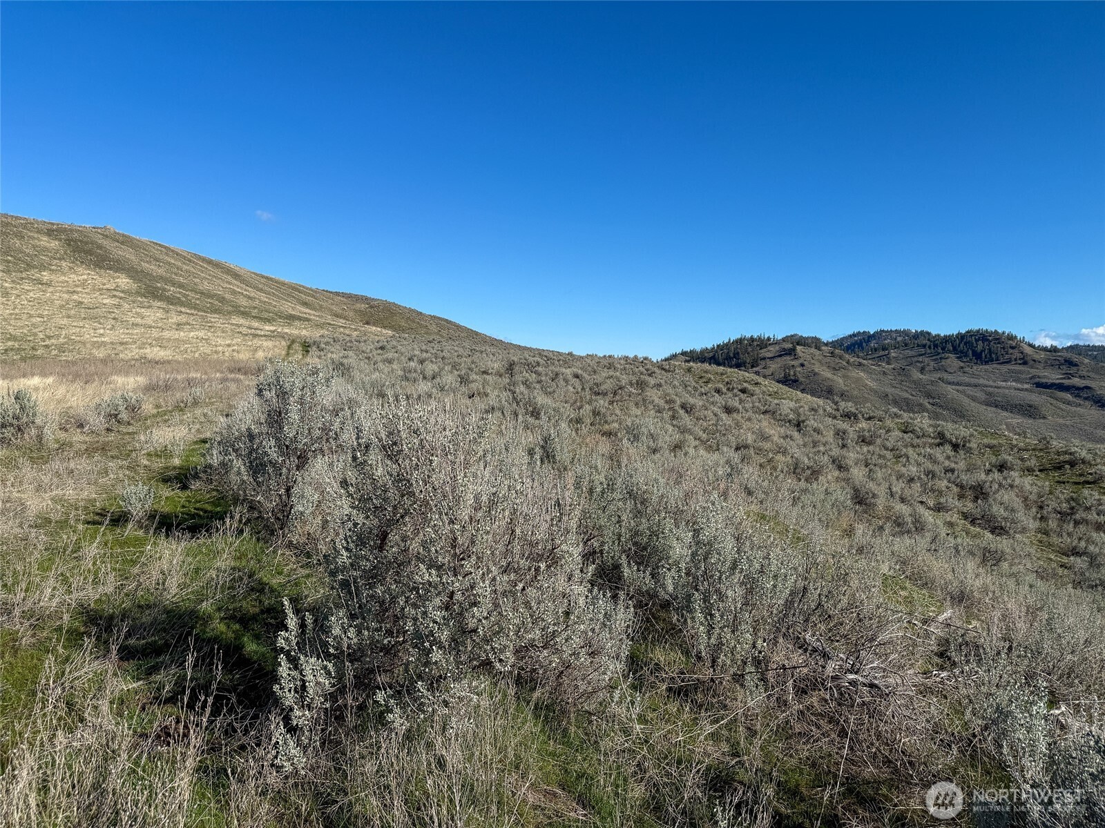 0 TBD Lower White Rock Road , Oroville, WA 98844