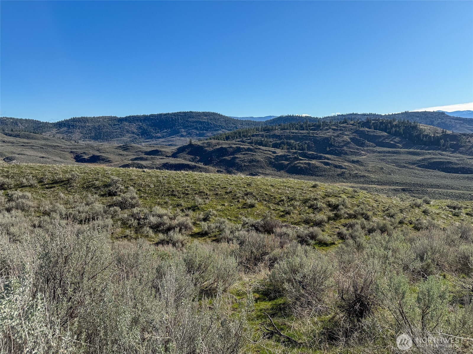 0 TBD Lower White Rock Road , Oroville, WA 98844