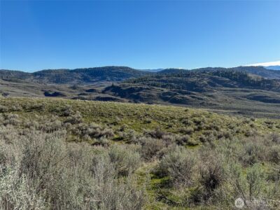 0 TBD Lower White Rock Road , Oroville, WA 98844 - Photo 22