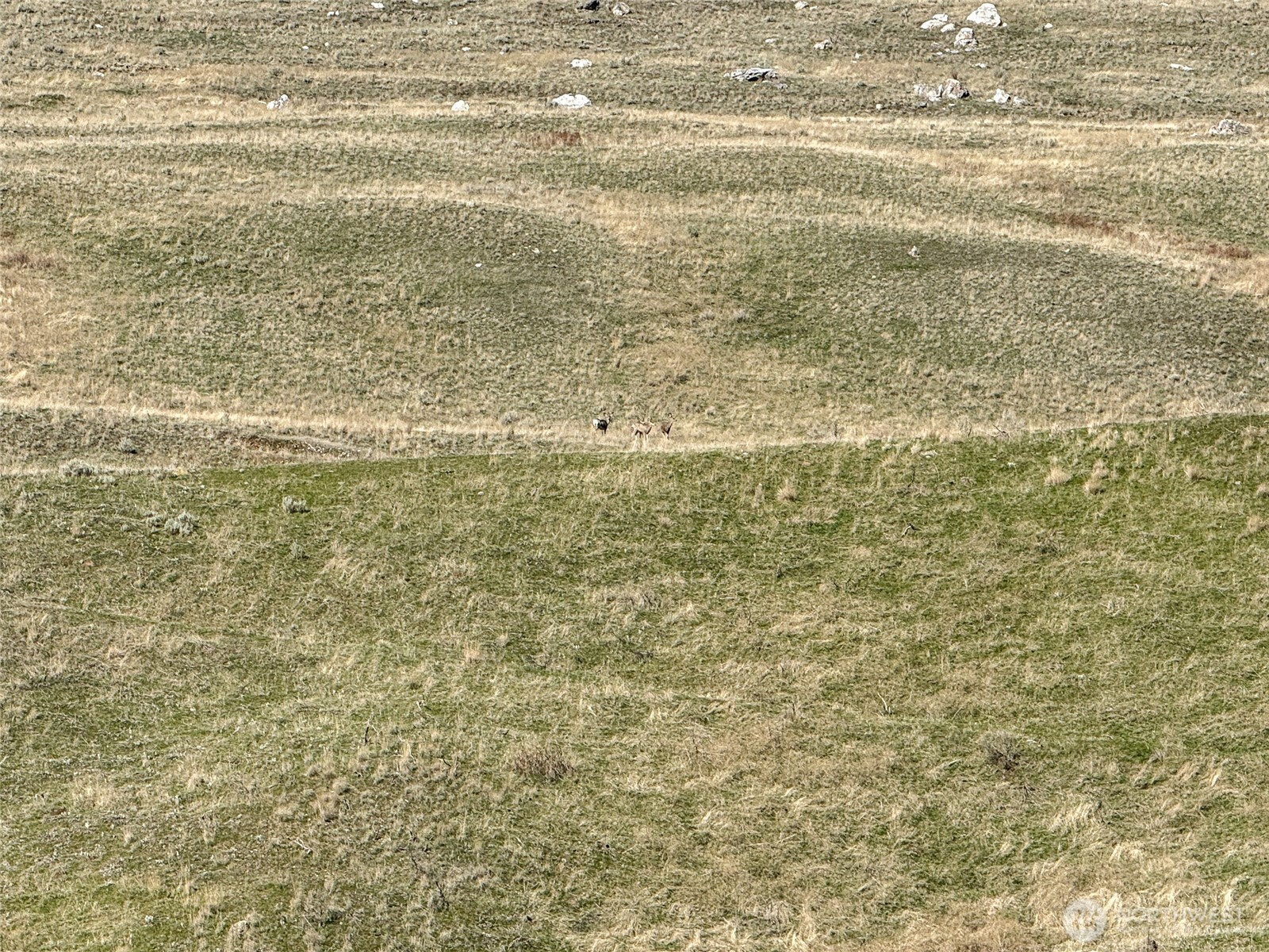 0 TBD Lower White Rock Road , Oroville, WA 98844