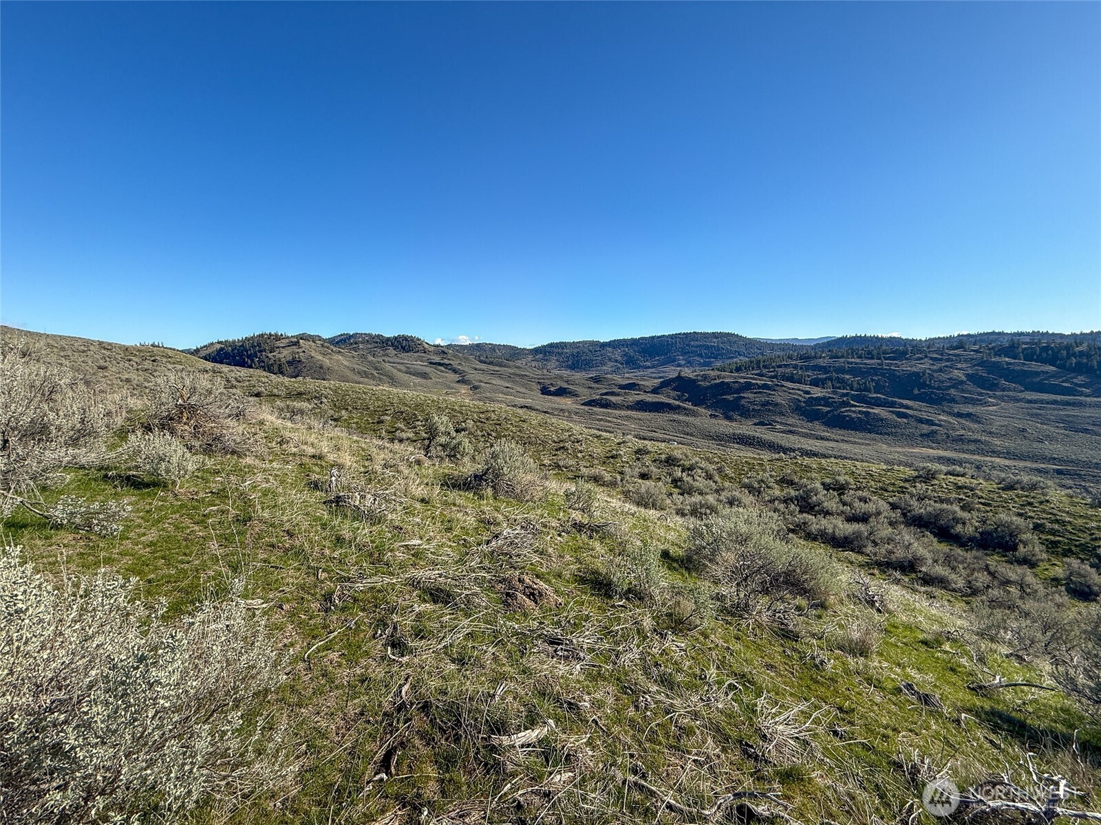 0 TBD Lower White Rock Road , Oroville, WA 98844