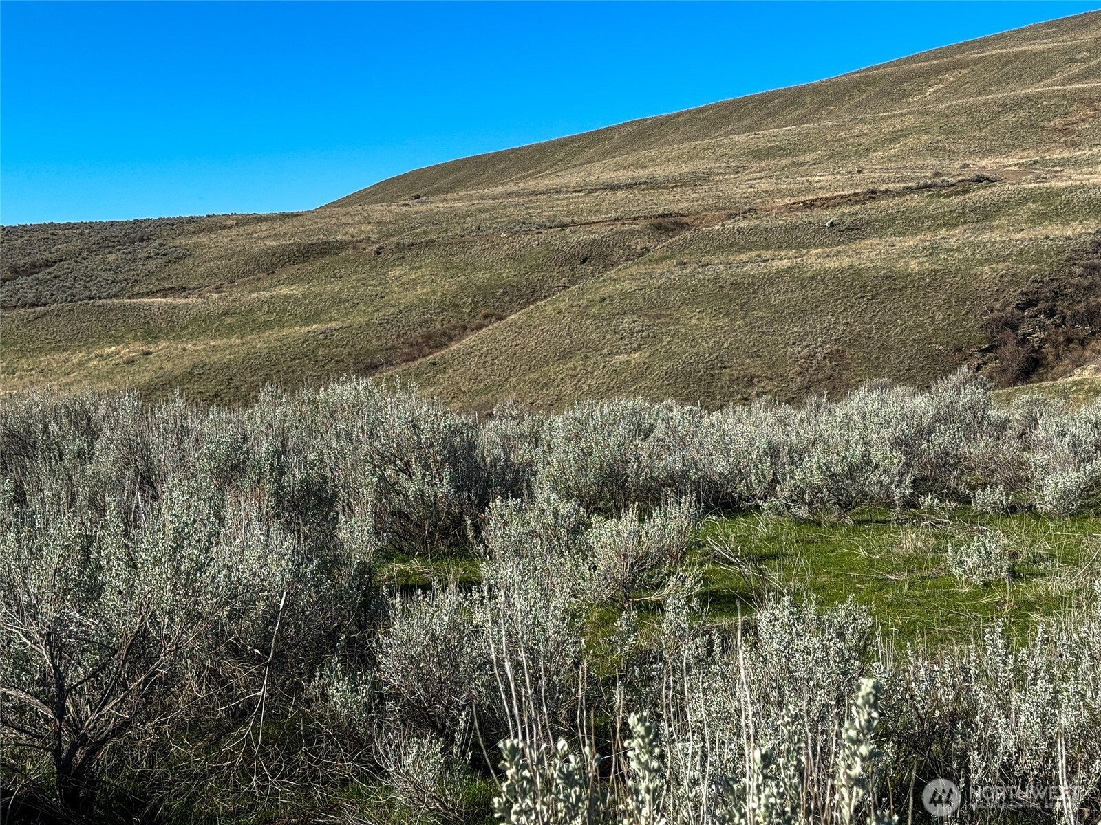 0 TBD Lower White Rock Road , Oroville, WA 98844