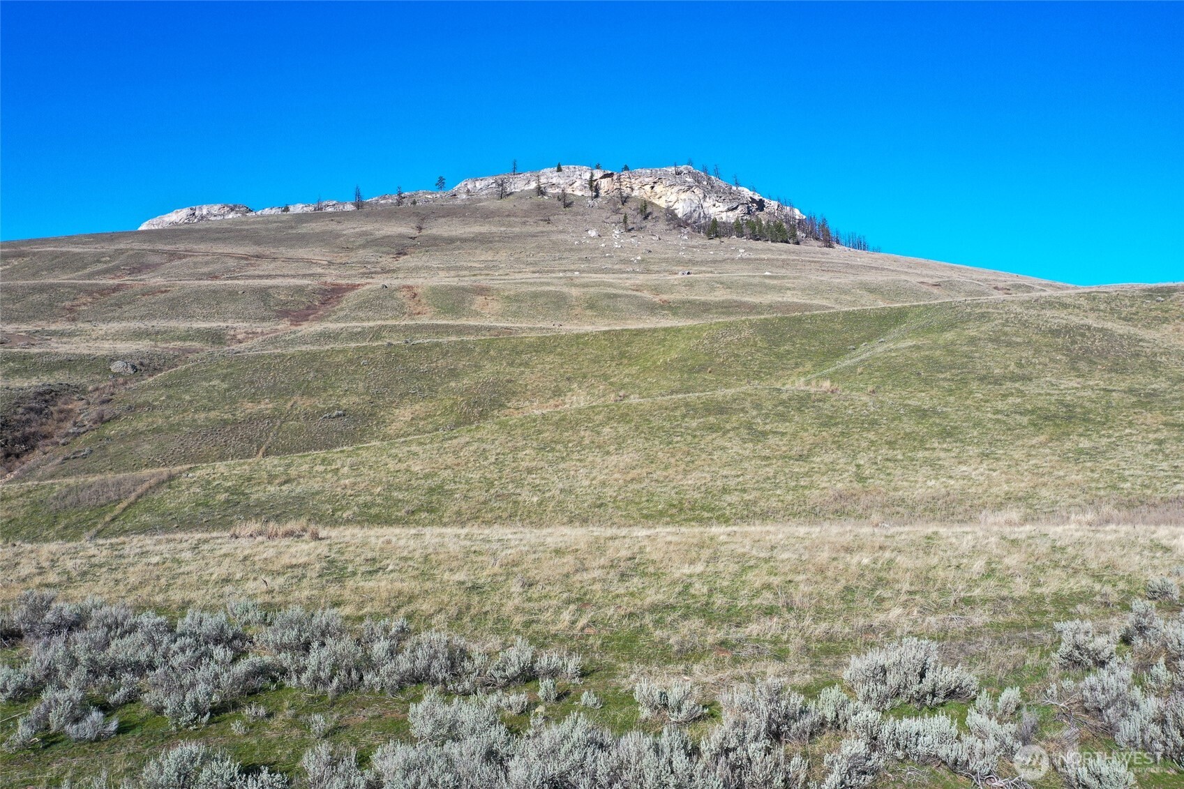 0 TBD Lower White Rock Road , Oroville, WA 98844