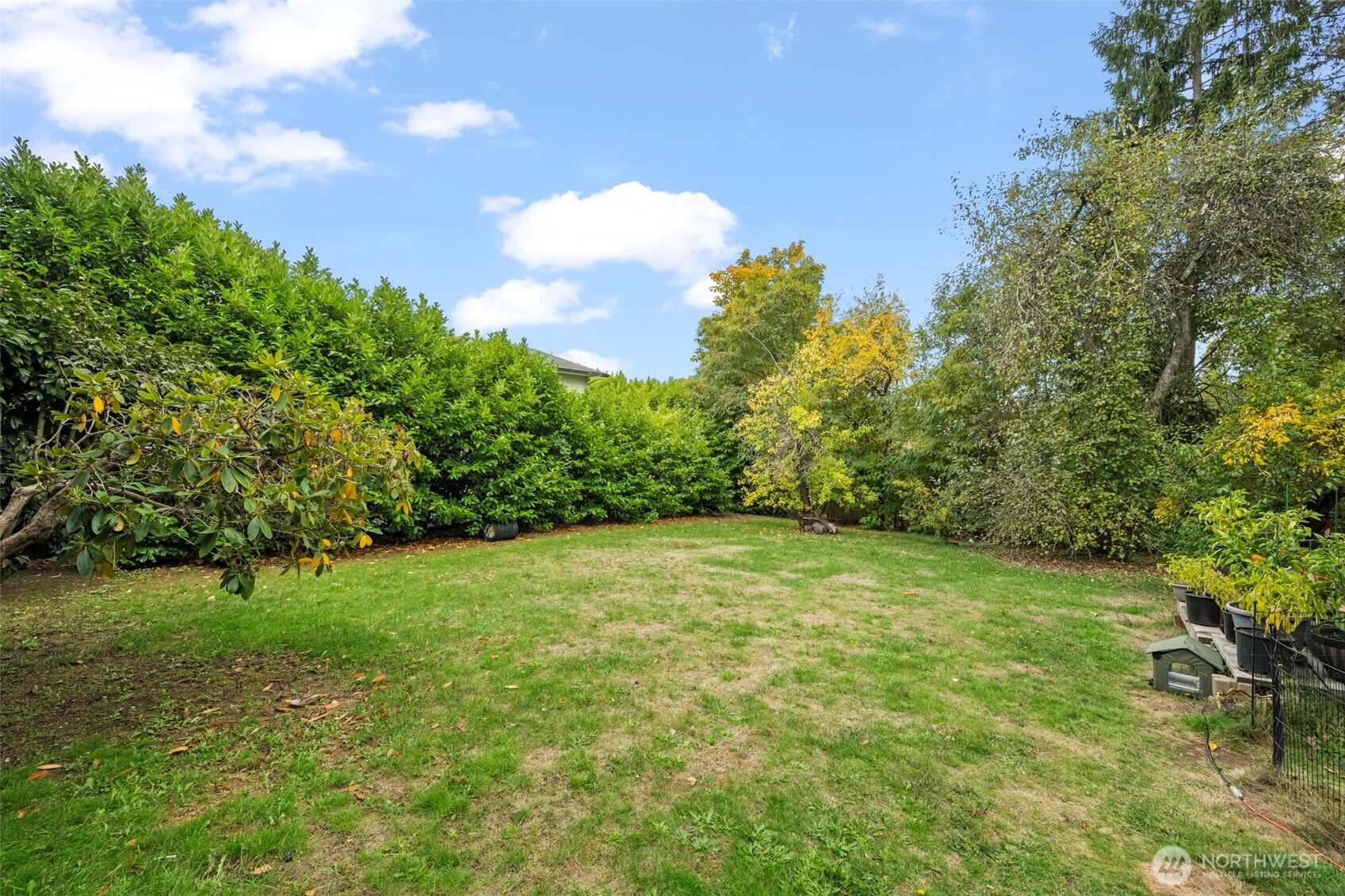 13215 35th Avenue NE, Seattle, WA 98125