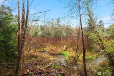 5955 Delridge Way SW, Seattle, WA 98106 - Photo 24