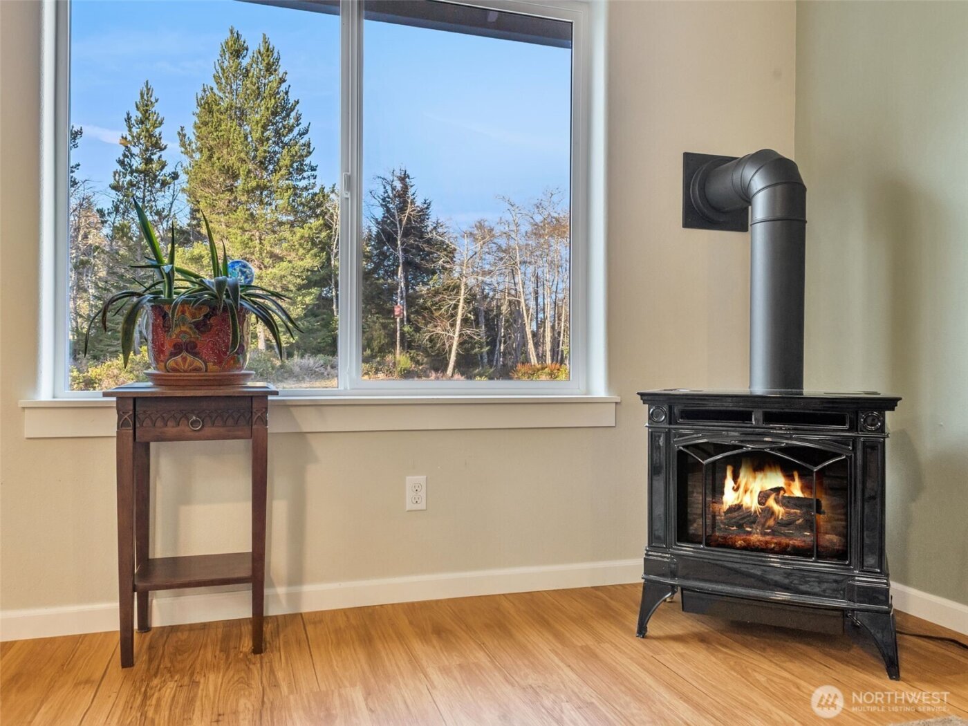 18215 Mill Lane , Long Beach, WA 98631