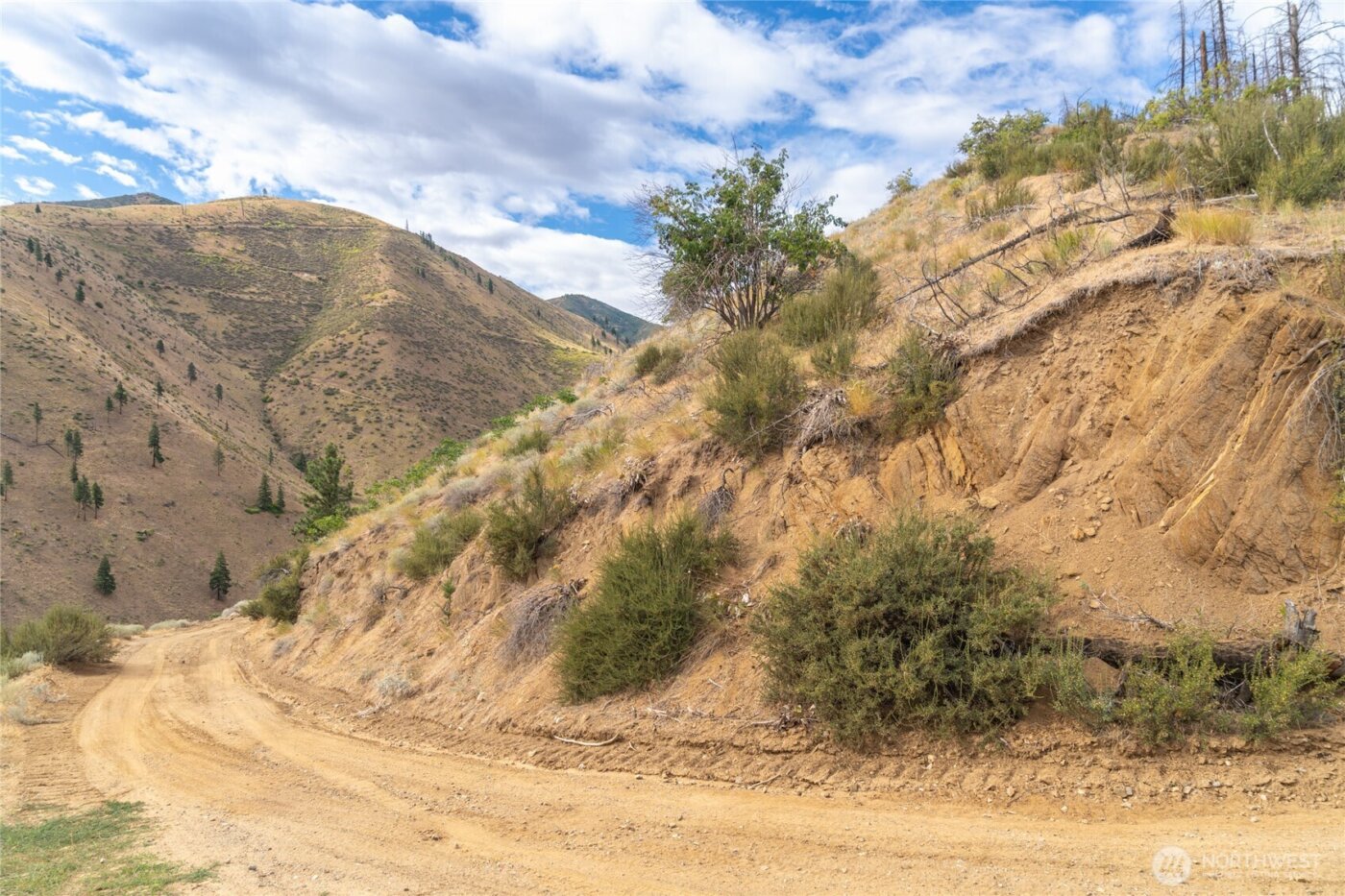 5058 Mills Canyon Road , Entiat, WA 98822