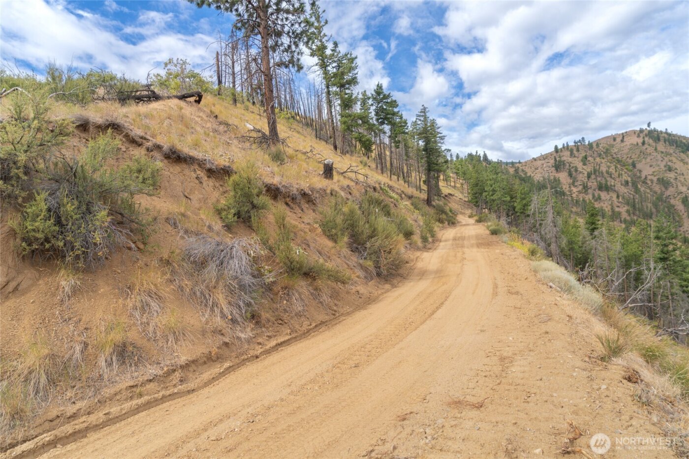 5058 Mills Canyon Road , Entiat, WA 98822