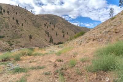 5058 Mills Canyon Road , Entiat, WA 98822 - Photo 6