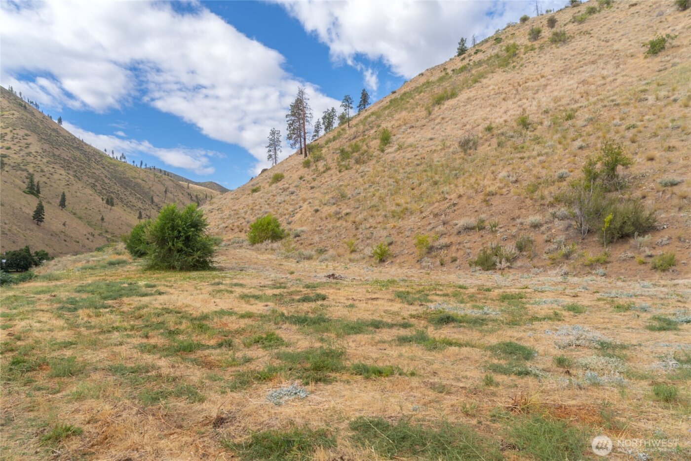 5058 Mills Canyon Road , Entiat, WA 98822