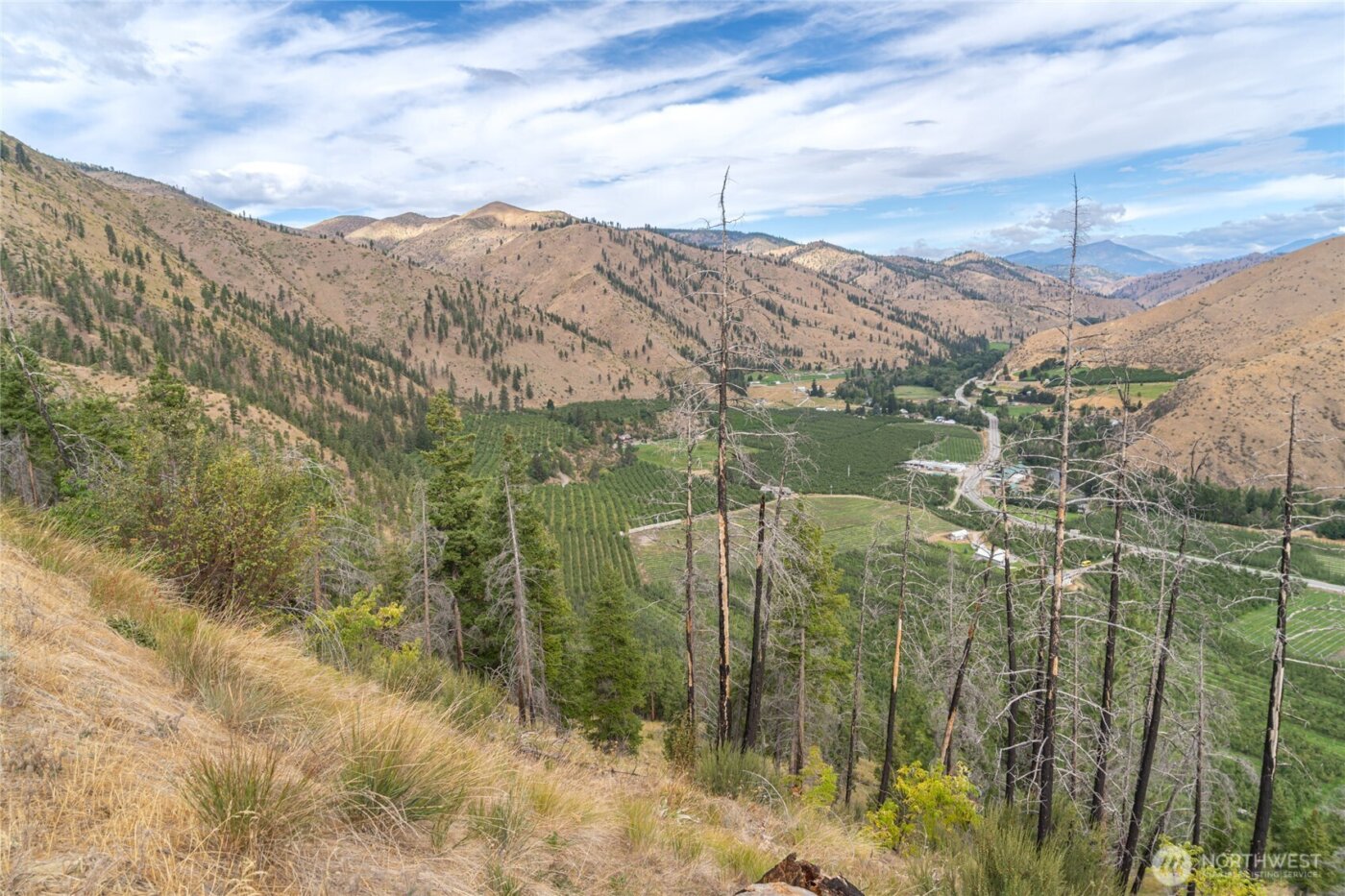 5058 Mills Canyon Road , Entiat, WA 98822