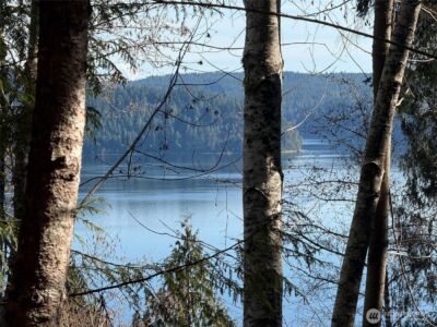 61 Devereaux Drive , Lilliwaup, WA 98555 - Photo 22