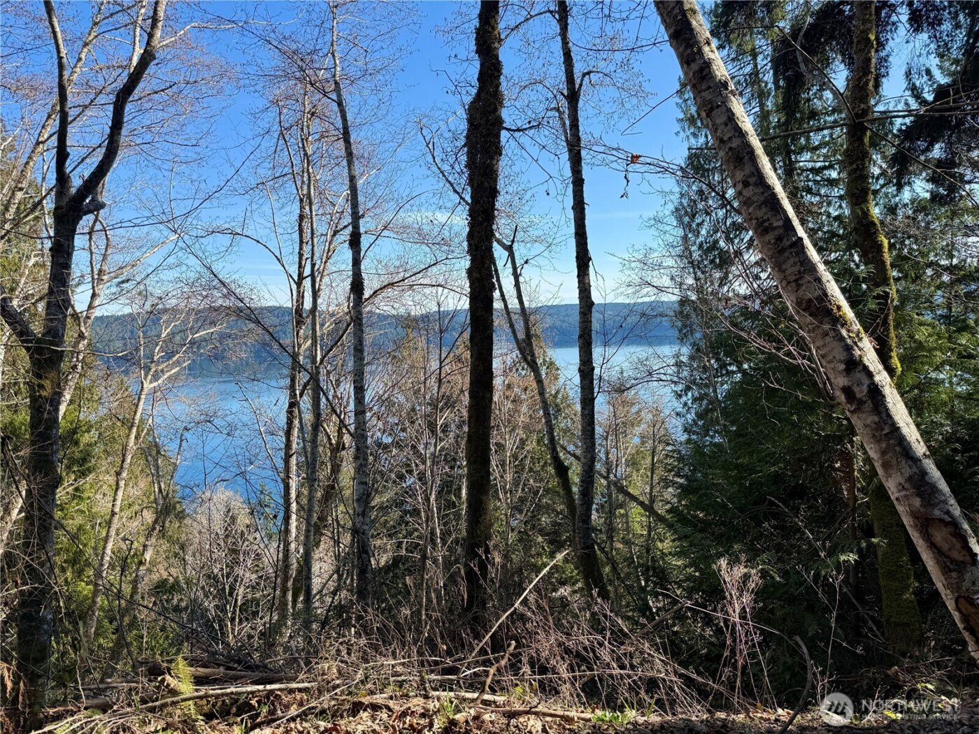 61 Devereaux Drive , Lilliwaup, WA 98555