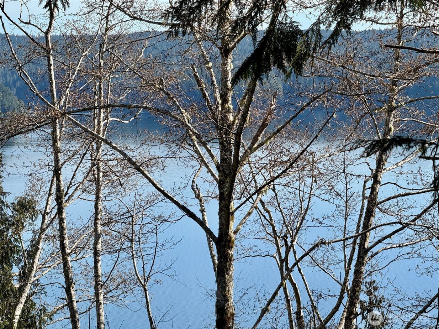 61 Devereaux Drive , Lilliwaup, WA 98555