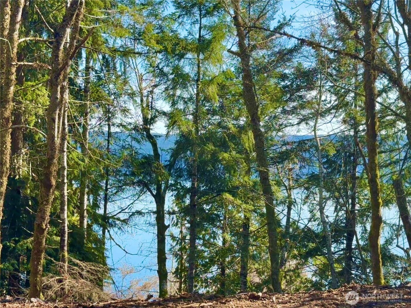 61 Devereaux Drive , Lilliwaup, WA 98555