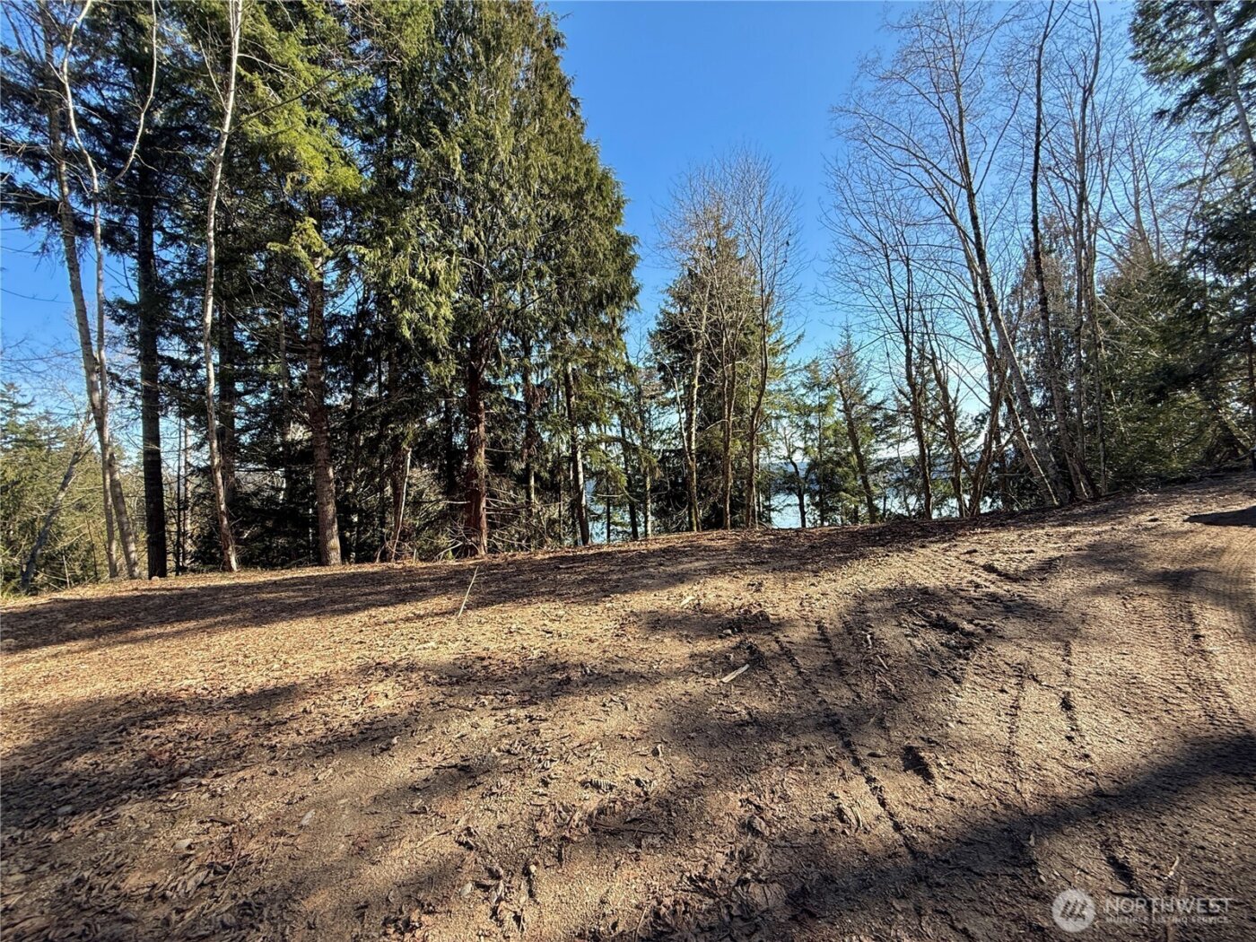 61 Devereaux Drive , Lilliwaup, WA 98555